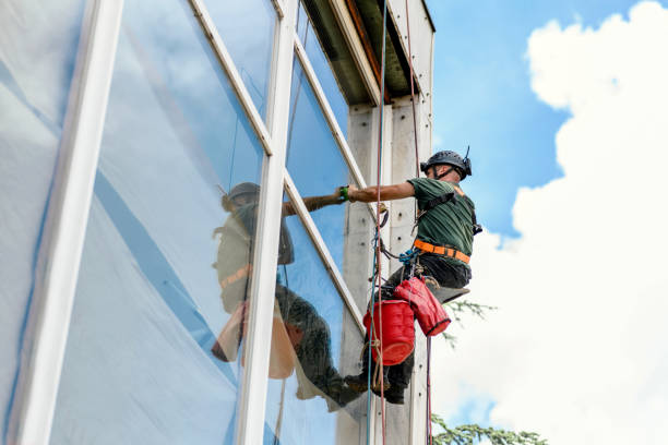 Best Window Glass Replacement  in Tawas City, MI